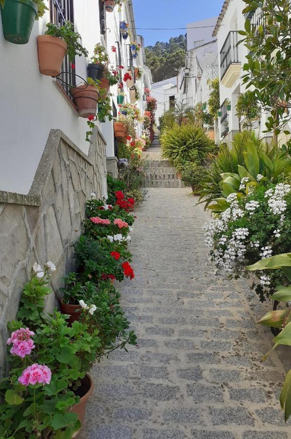 Casa De Las Flores - A Picture Perfect Location! El Gastor Exterior photo