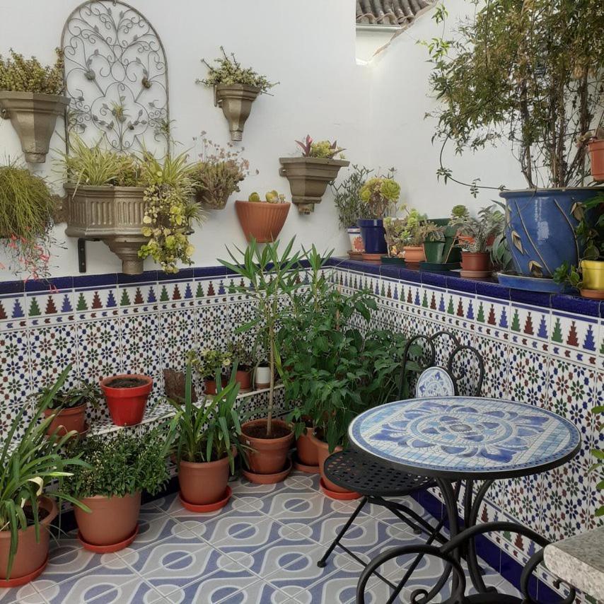 Casa De Las Flores - A Picture Perfect Location! El Gastor Exterior photo